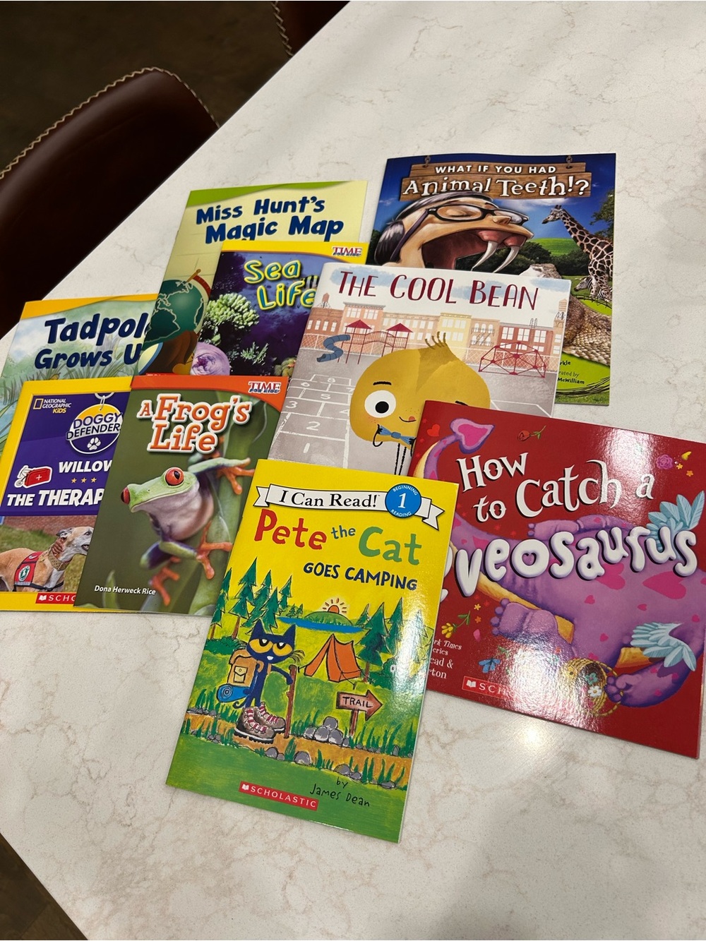 New! Scholastic "Pete the Cat Goes Camping" Children's Book - Bright Green Cover